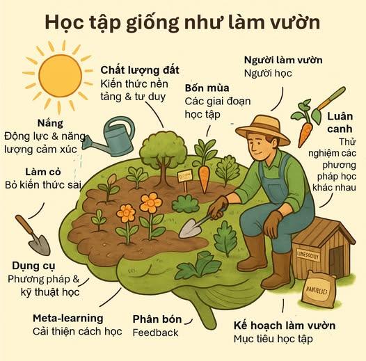 META-LEARNING: HỌC CÁCH HỌC + ÁP DỤNG HỌC AI